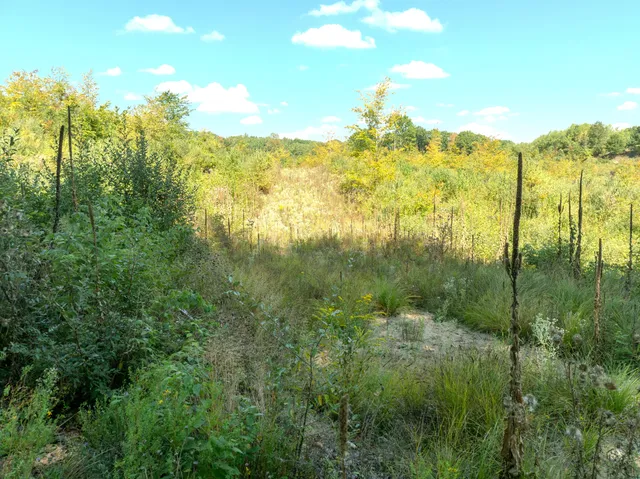 $182,000 | 6250 150th Avenue, Hersey, MI 49639