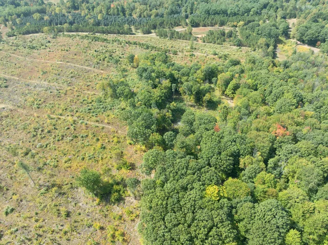 $182,000 | 6250 150th Avenue, Hersey, MI 49639