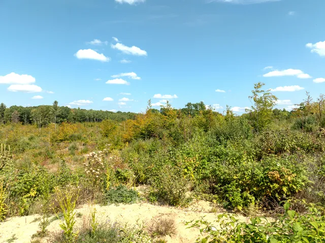 $182,000 | 6250 150th Avenue, Hersey, MI 49639