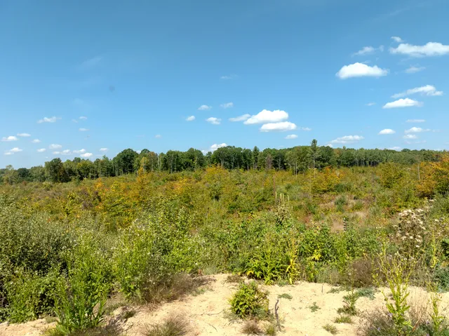 $182,000 | 6250 150th Avenue, Hersey, MI 49639