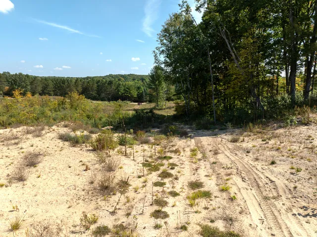 $182,000 | 6250 150th Avenue, Hersey, MI 49639