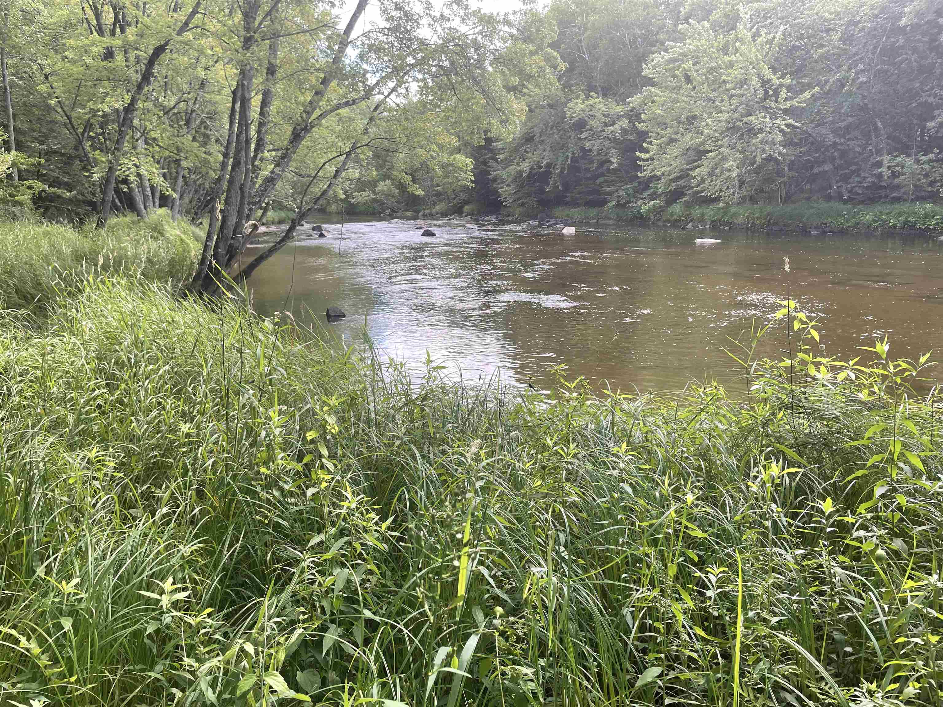 Lot 1 Gusman Road Schofield, WI 54476 - Photo 1 of 1