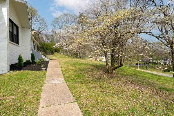 a view of a garden with plants and trees