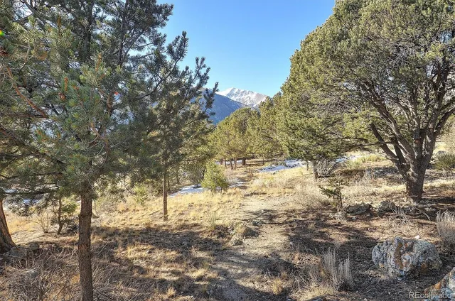 $559,000 | 16819 County Road 162, Unit A, Nathrop, CO 81236