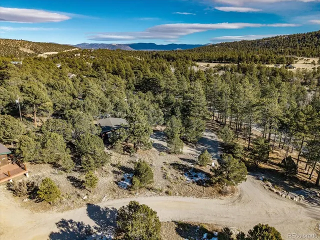 $559,000 | 16819 County Road 162, Unit A, Nathrop, CO 81236