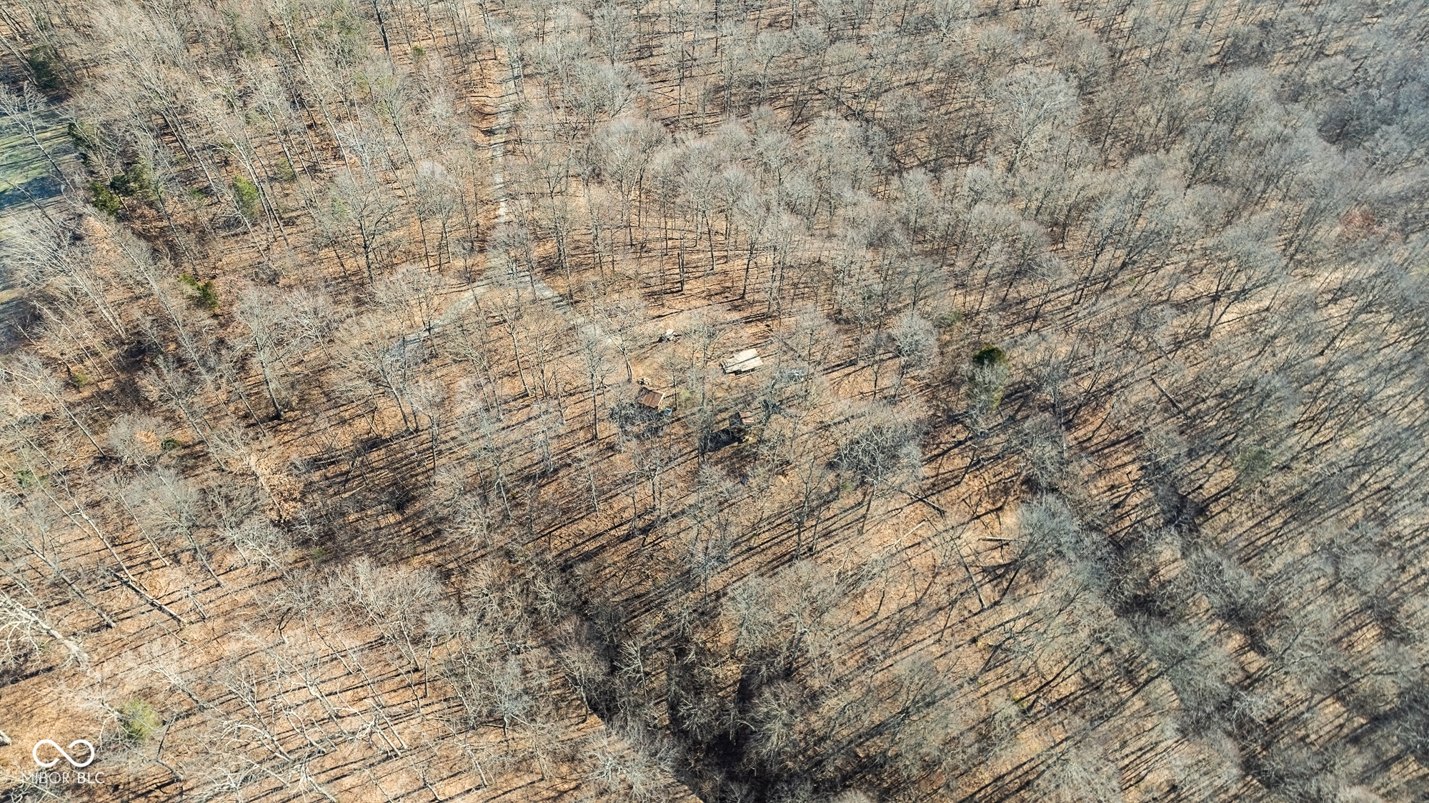 0 North Rush Creek Road Salem, IN 47167 - Photo 11 of 30