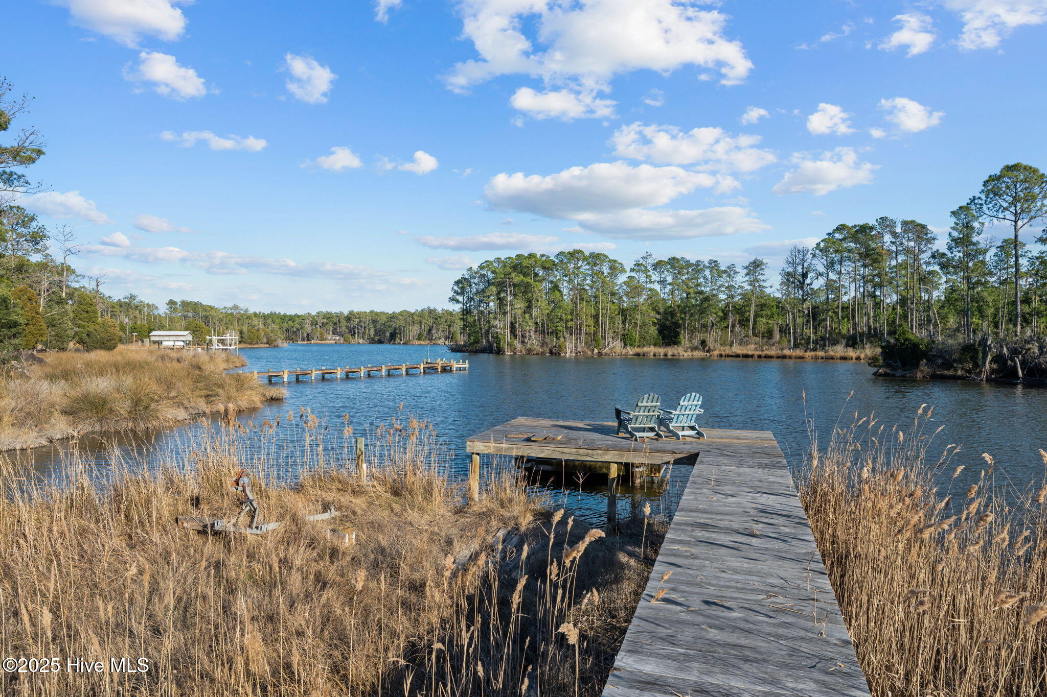 256 Spring Drive Aurora, NC 27806 - Photo 2 of 40 View of the creek