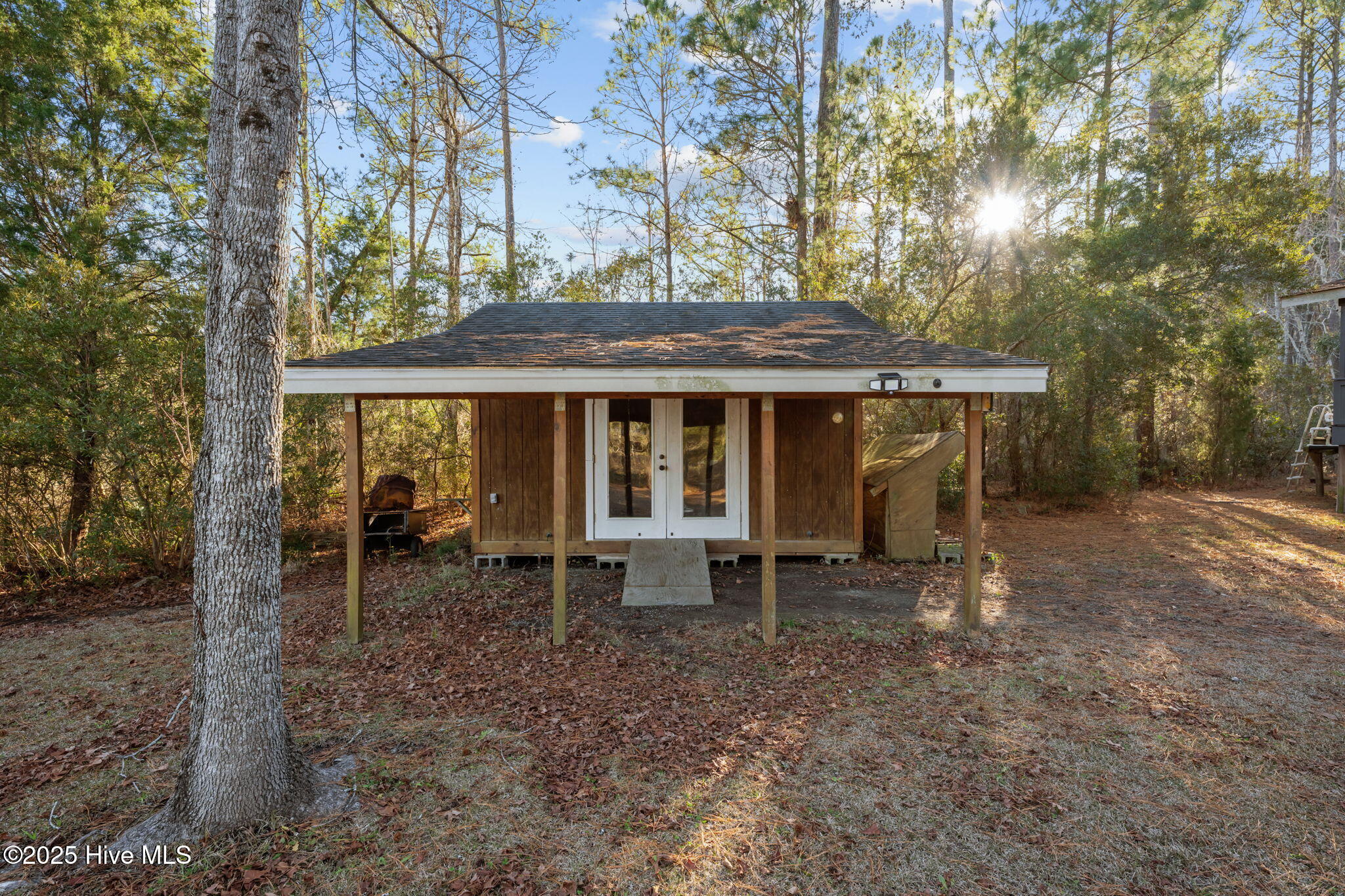 256 Spring Drive Aurora, NC 27806 - Photo 39 of 54 Small shed at the back of the property
