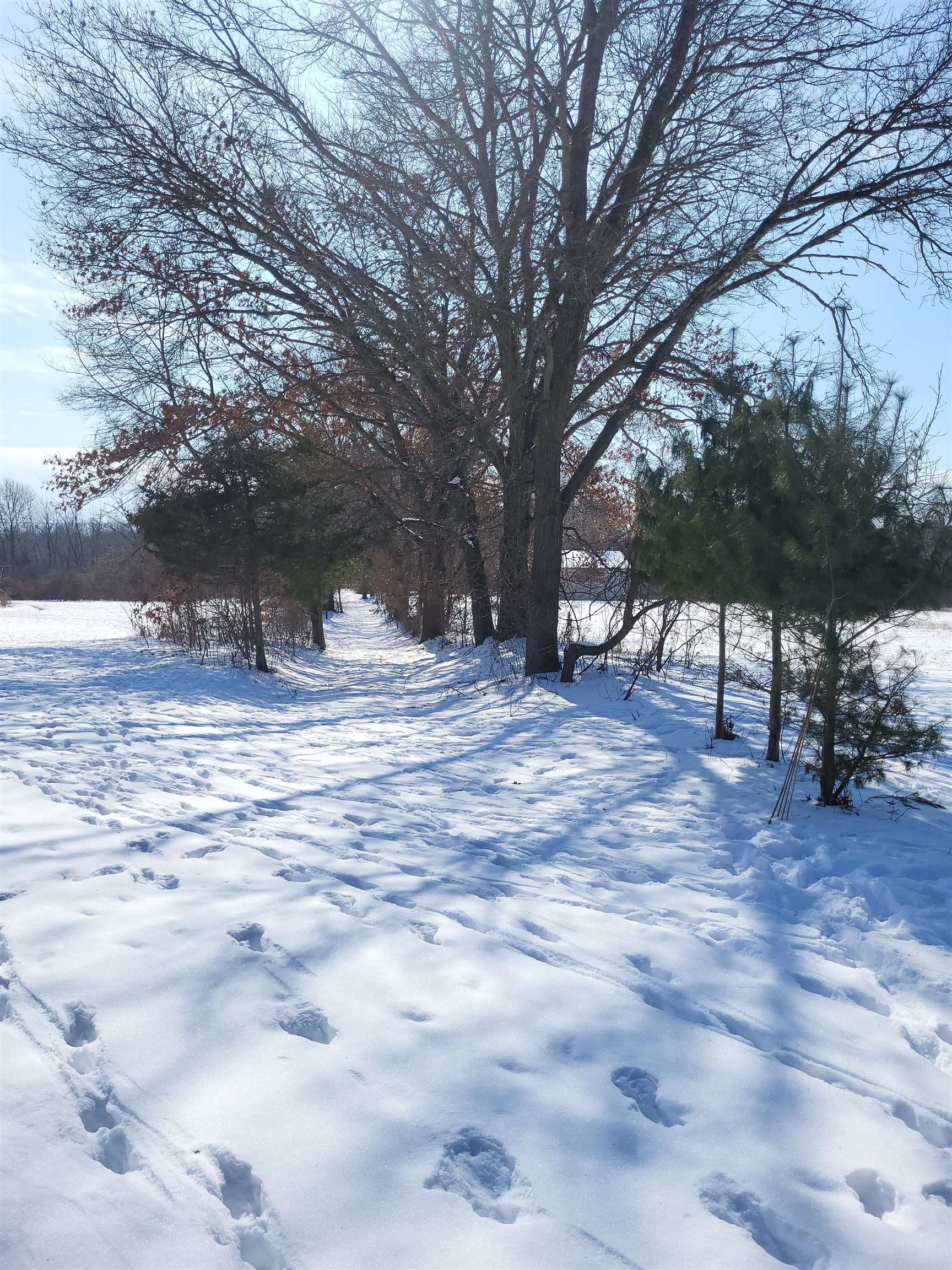 County Road Portage, WI 53901 - Photo 1 of 1 Gallery Image 1