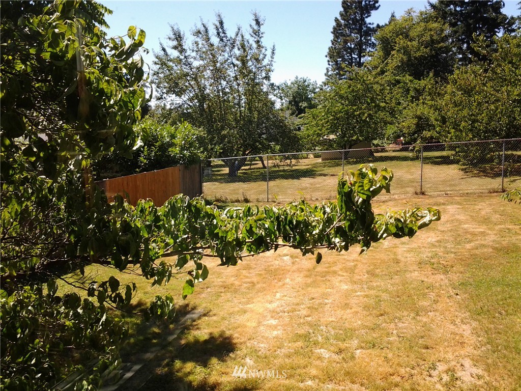 273 Thomas Avenue Southwest Renton, WA 98057 - Photo 22 of 23