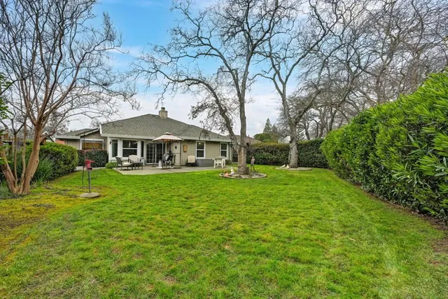 a view of yard with slide and trees