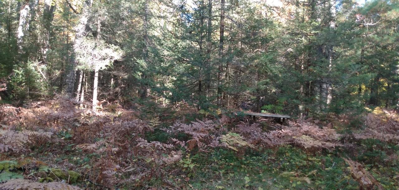 On Moonshine Valley Road Presque Isle, WI 54557 - Photo 10 of 20 Gallery Image 10