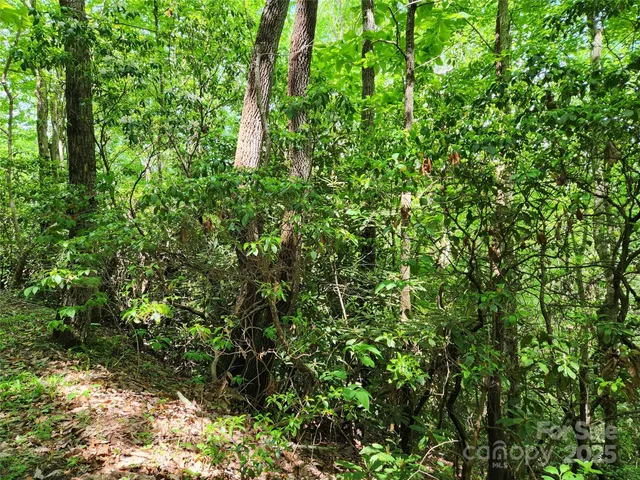 $149,900 | 0 Boone Top None None, Unit NONE, Zirconia, NC 28790