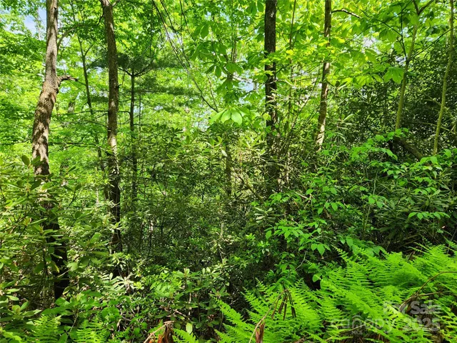 $149,900 | 0 Boone Top None None, Unit NONE, Zirconia, NC 28790