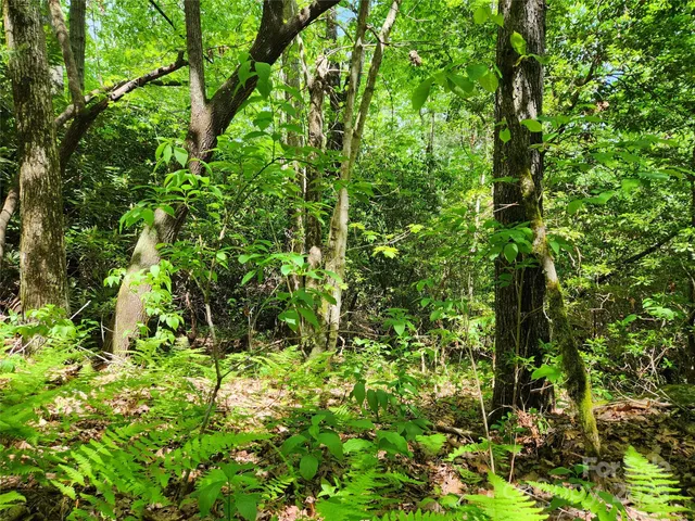 $149,900 | 0 Boone Top None None, Unit NONE, Zirconia, NC 28790