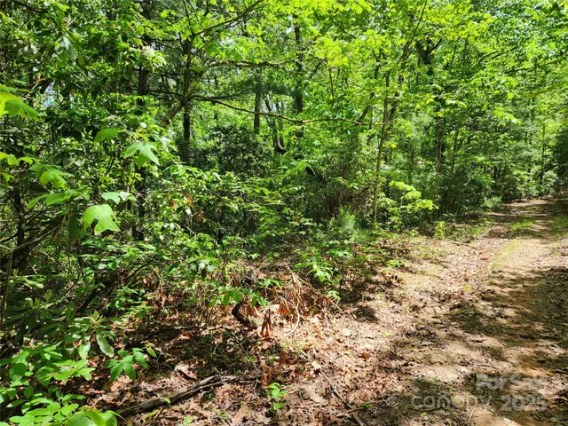 $149,900 | 0 Boone Top None None, Unit NONE, Zirconia, NC 28790