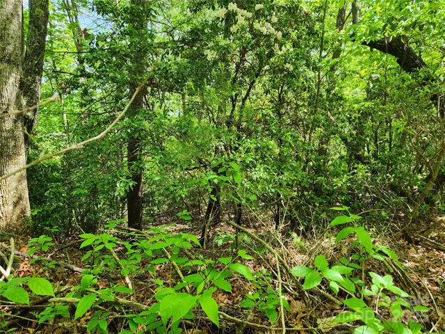 $149,900 | 0 Boone Top None None, Unit NONE, Zirconia, NC 28790