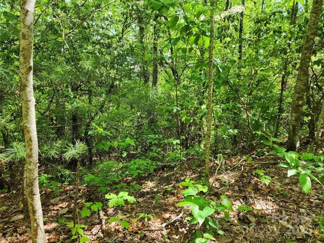 $149,900 | 0 Boone Top None None, Unit NONE, Zirconia, NC 28790