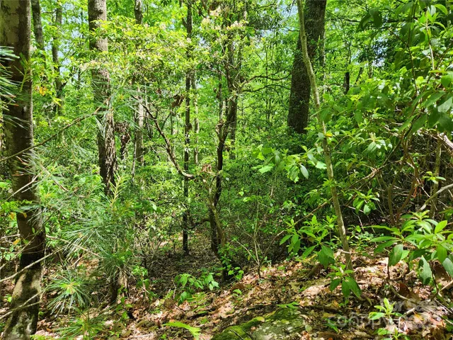 $149,900 | 0 Boone Top None None, Unit NONE, Zirconia, NC 28790