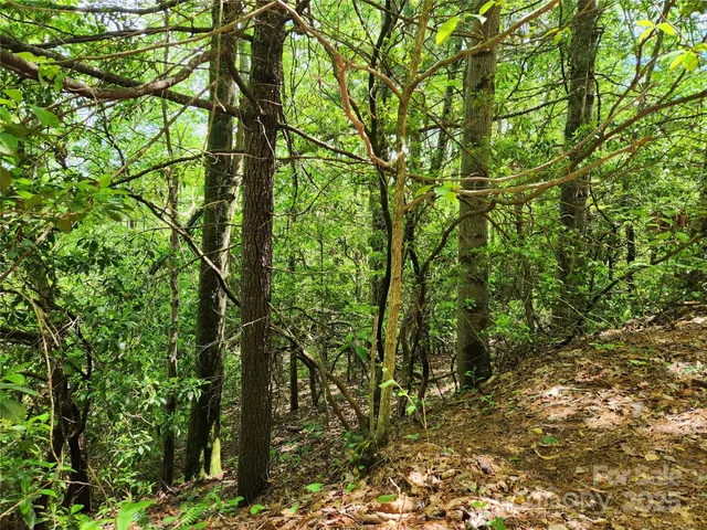 $149,900 | 0 Boone Top None None, Unit NONE, Zirconia, NC 28790