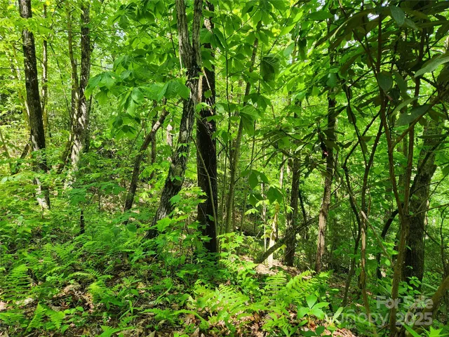 $149,900 | 0 Boone Top None None, Unit NONE, Zirconia, NC 28790