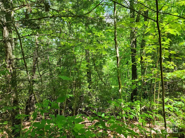 $149,900 | 0 Boone Top None None, Unit NONE, Zirconia, NC 28790