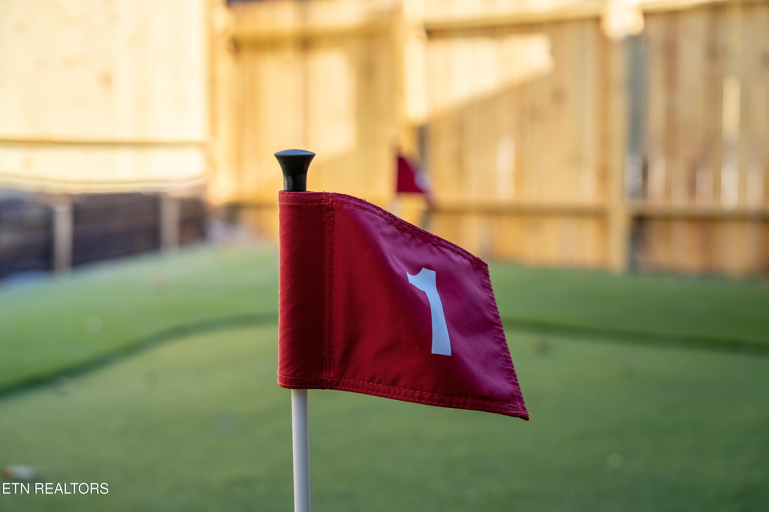4015 Hitching Post Road Pigeon Forge, TN 37863 - Photo 48 of 54 DSC07148-HDR