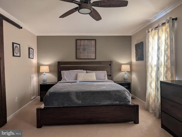 a bathroom with a shower and a toilet