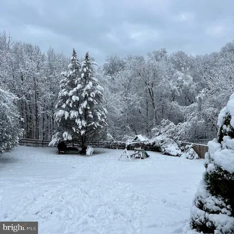 a view of outdoor space with trees