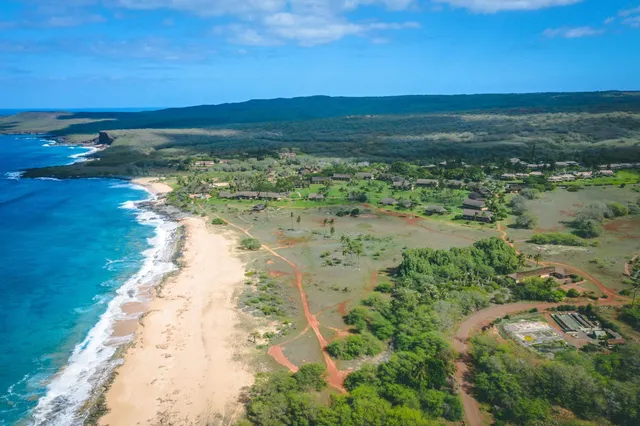 a view of a dry yard