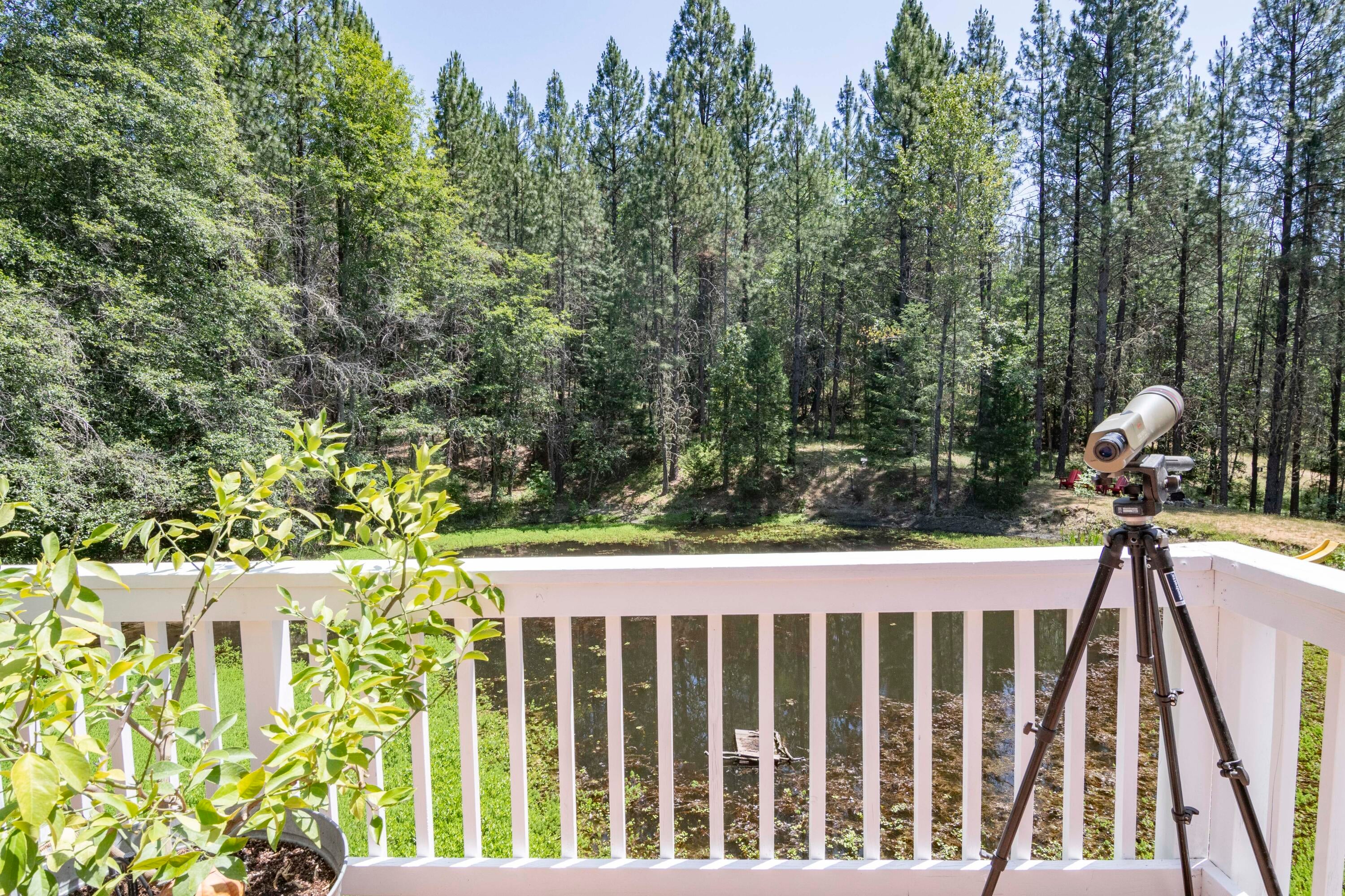 16894 Ford Road Rogue River, OR 97537 - Photo 26 of 60 _JSR0008
