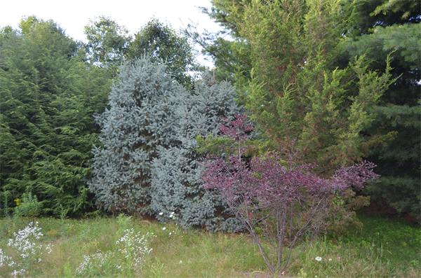 48 Cave Hill Road Leverett, MA 01054 - Photo 26 of 27 Gallery Image 26
