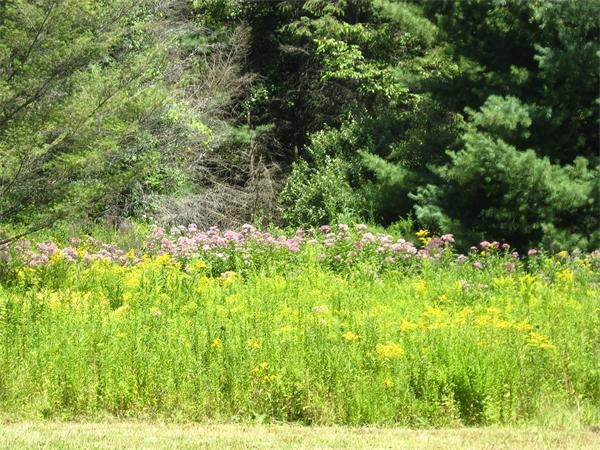 48 Cave Hill Road Leverett, MA 01054 - Photo 27 of 27 Gallery Image 27