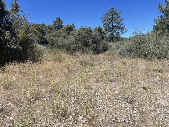 0 Devils Ladder Road Mountain Center, CA 92561 - Photo 2 of 10 Rothe lot