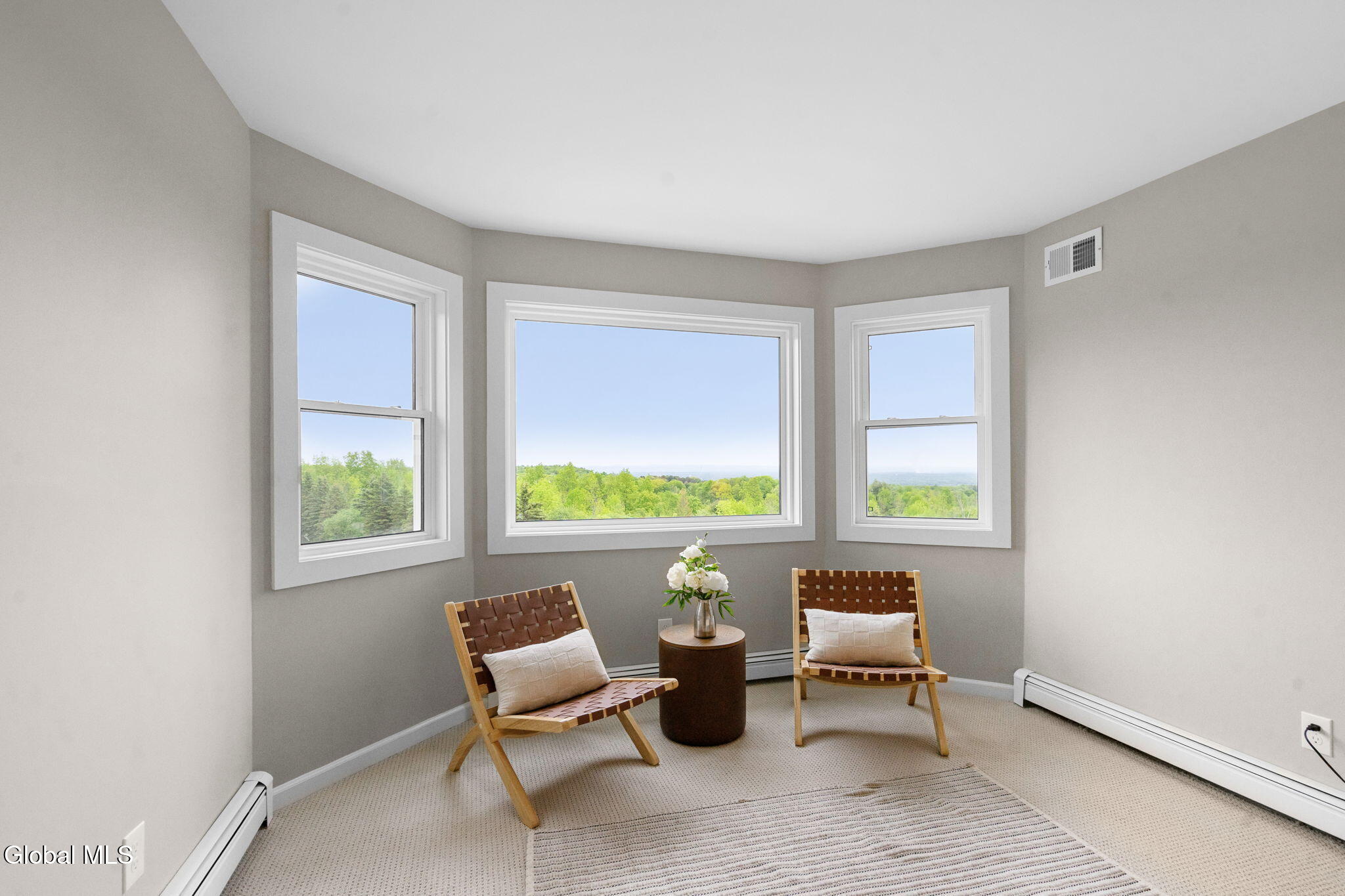 2676 Currybush Road Rotterdam, NY 12306 - Photo 35 of 59 46-web-or-mls-2676-currybush-rd