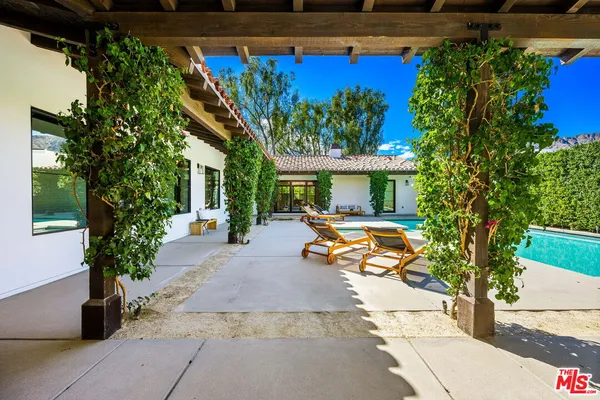 a view of a backyard with plants and a patio