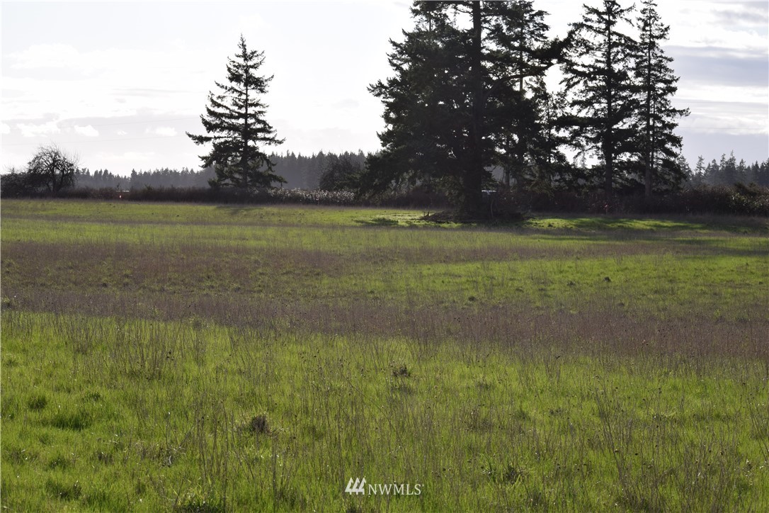 0 44630th Road Coupeville, WA 98239 - Photo 15 of 26 Gallery Image 15