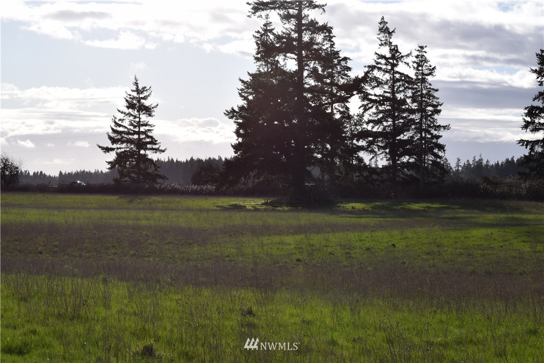 0 44630th Road Coupeville, WA 98239 - Photo 16 of 26 Gallery Image 16