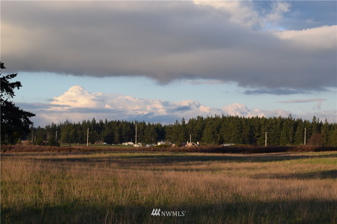 0 44630th Road Coupeville, WA 98239 - Photo 4 of 26 Gallery Image 4