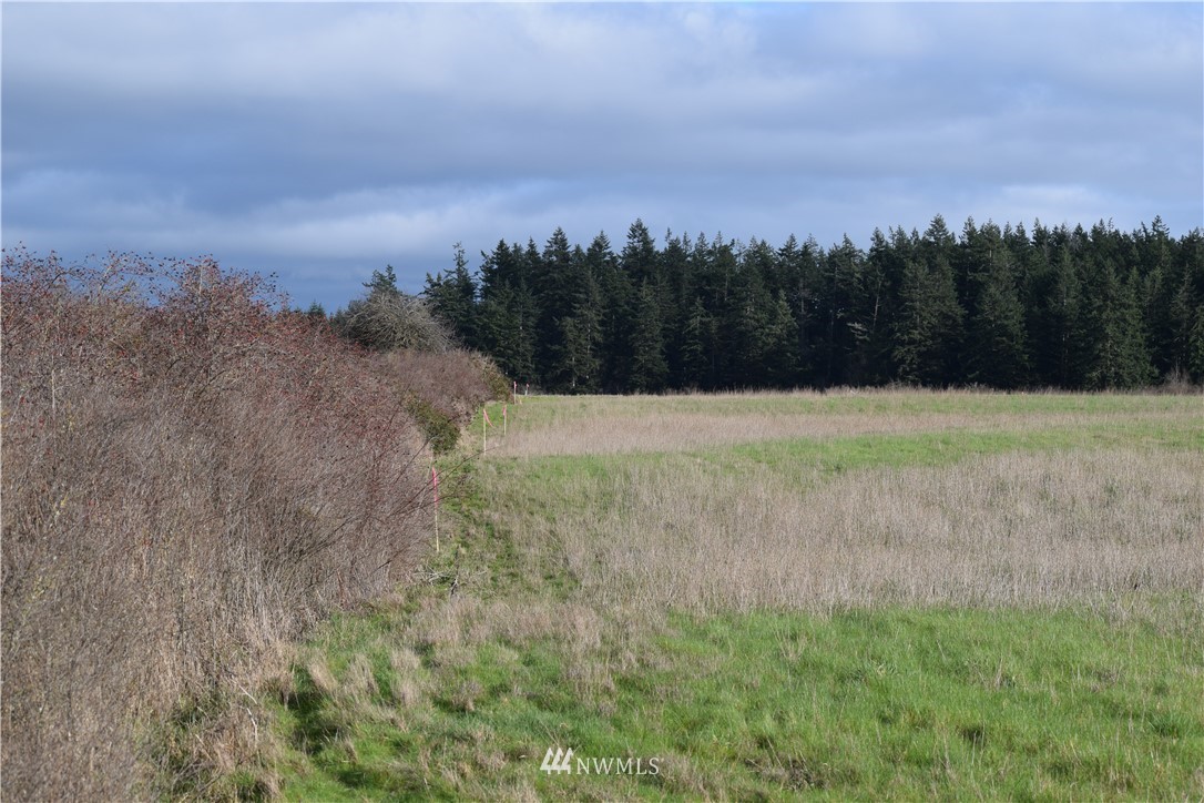 0 44630th Road Coupeville, WA 98239 - Photo 6 of 26 Gallery Image 6