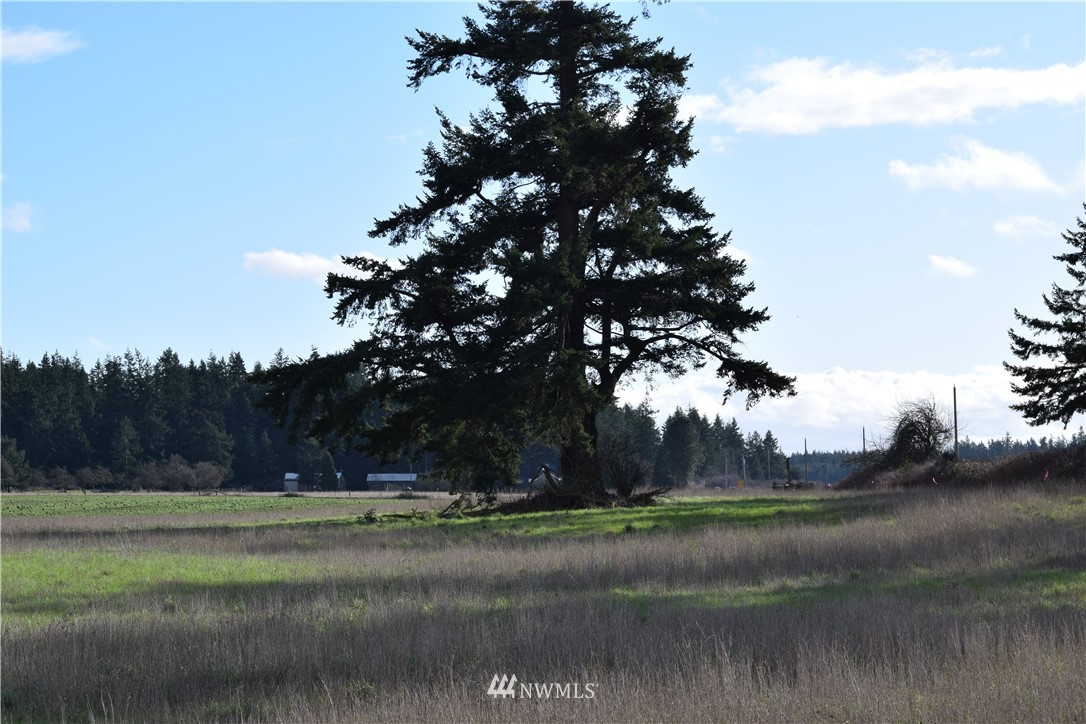 0 44630th Road Coupeville, WA 98239 - Photo 8 of 26 Gallery Image 8