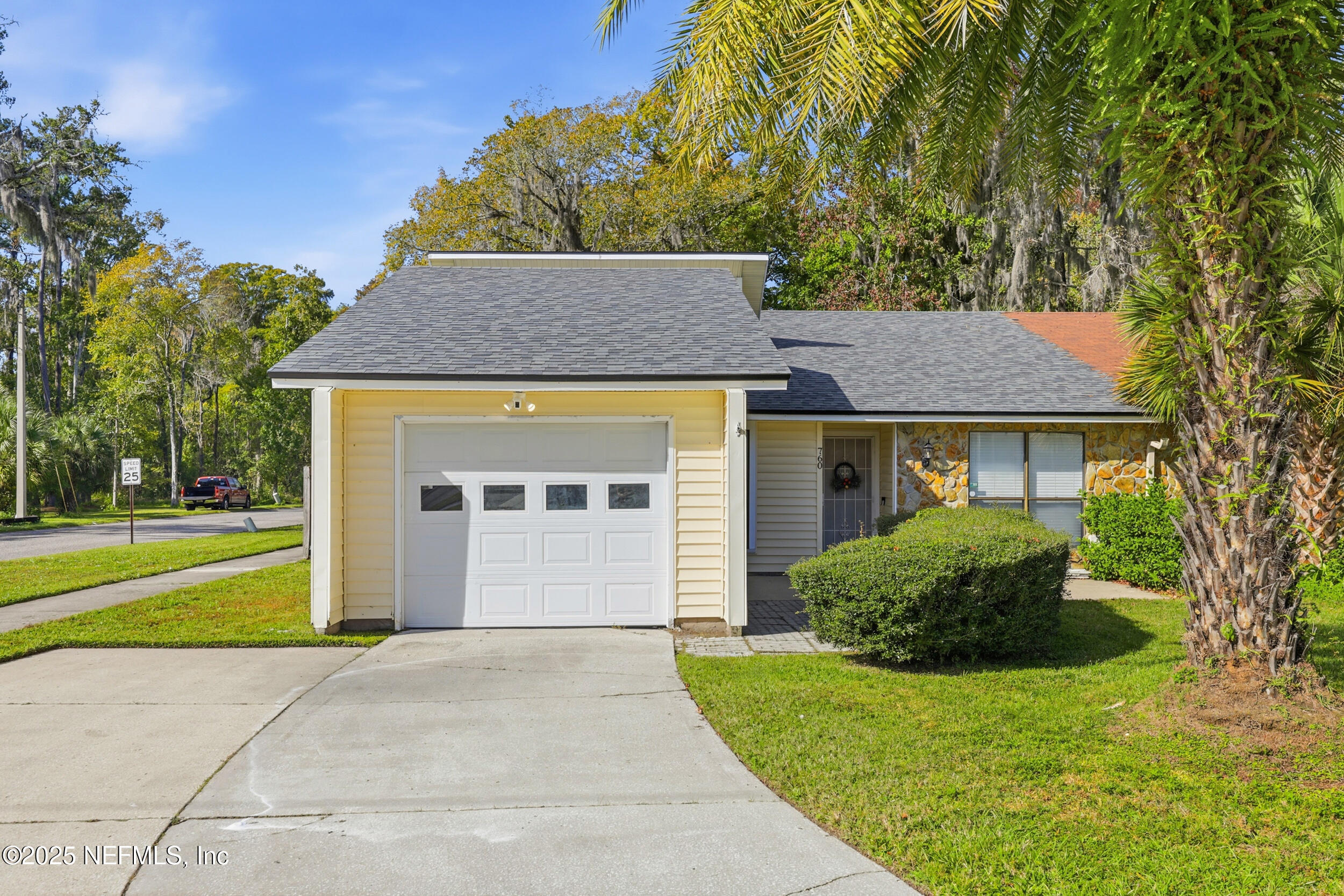 a view of a house with a yard plants and large tree