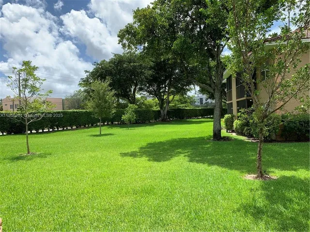 a view of a park with large trees