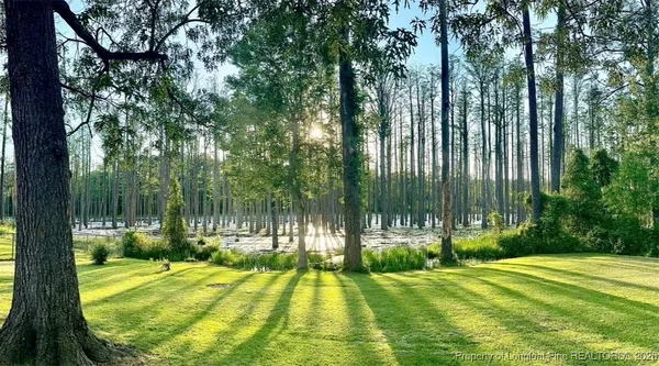 a yard with trees in the background