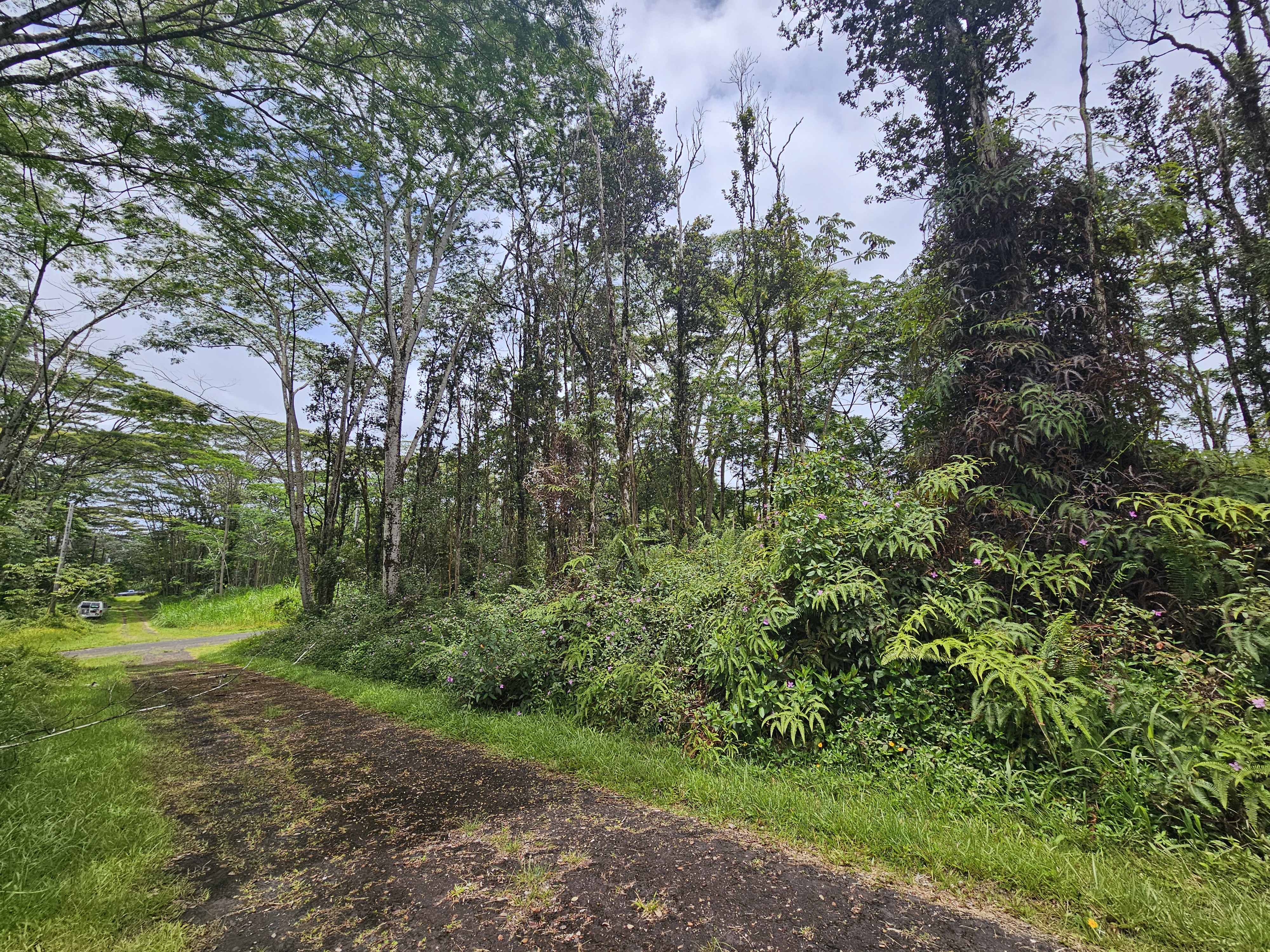 247 Pahoa Road Pahoa, HI 96778 - Photo 5 of 11