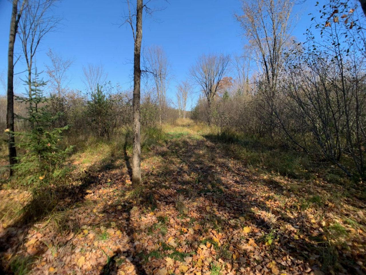 Lot2 Lot2 Cth Ff Mercer, WI 54547 - Photo 11 of 29 Gallery Image 11