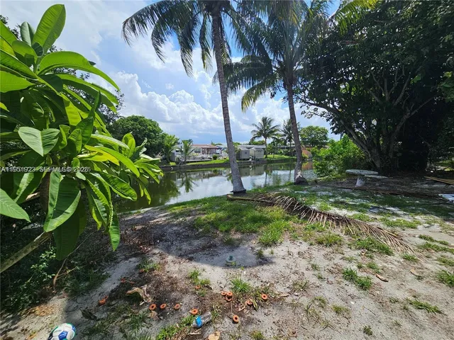 a view of a yard with a tree