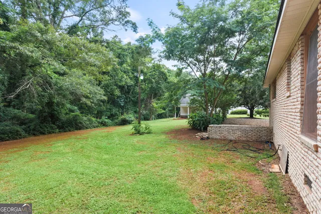a view of a garden with a tree