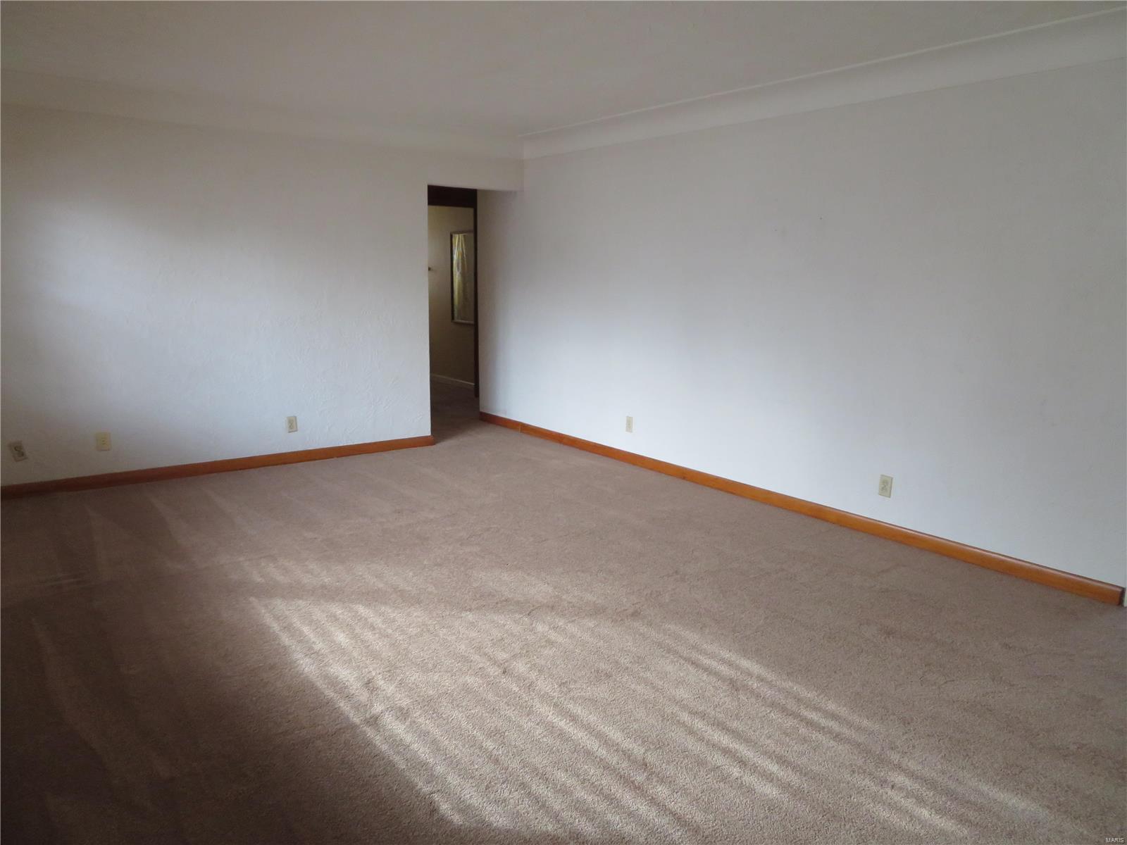 124 East 4th Street Roxana, IL 62084 - Photo 9 of 35