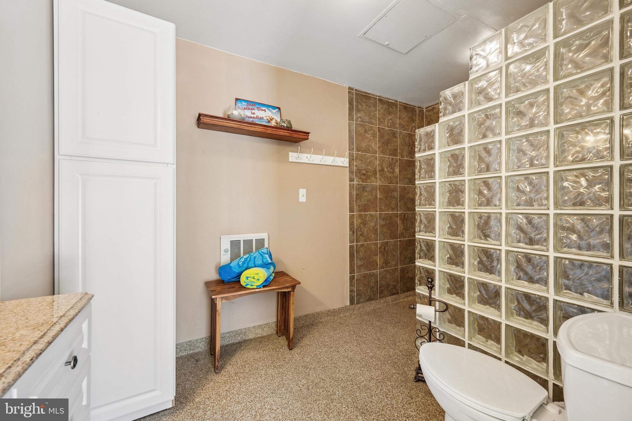 55 Greenmount Road Rising Sun, MD 21911 - Photo 68 of 105 Pool house bath with walk-in shower